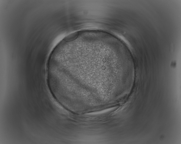 X0000092231467200710051209