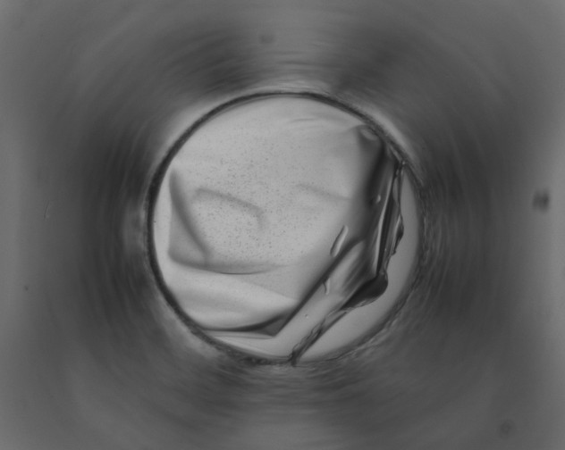 X0000092231468200710051209