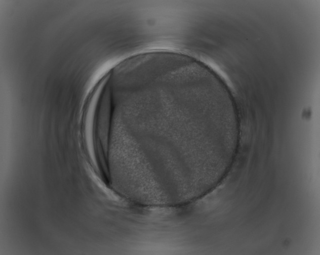 X0000092231469200710051209