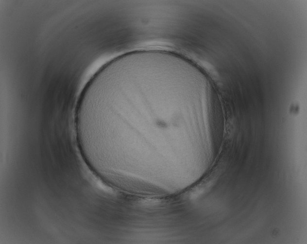 X0000092231470200710051209