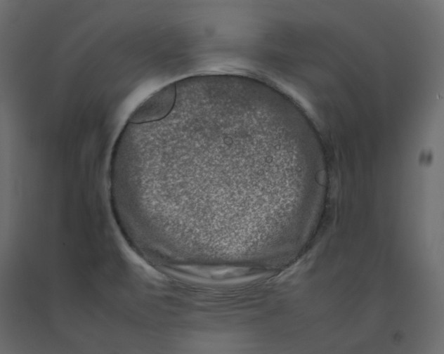 X0000092231471200710051209