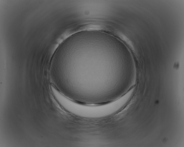 X0000092231473200710051209