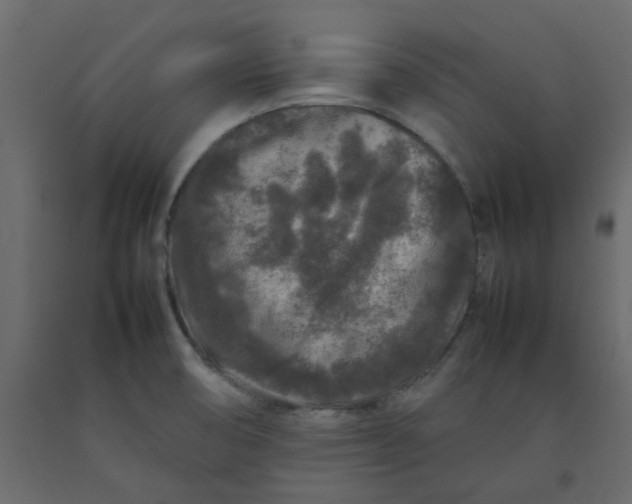 X0000092231474200710051209