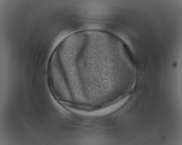 X0000092231475200710051209