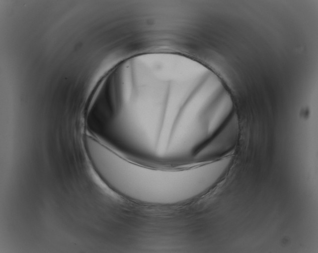 X0000092231476200710051209