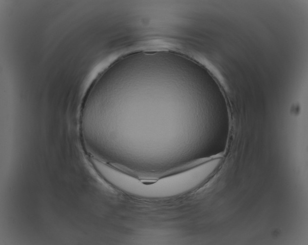 X0000092231477200710051209