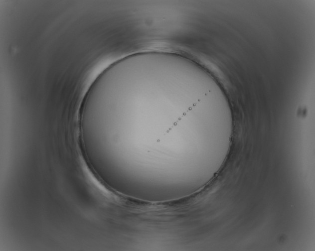 X0000092231479200710051209