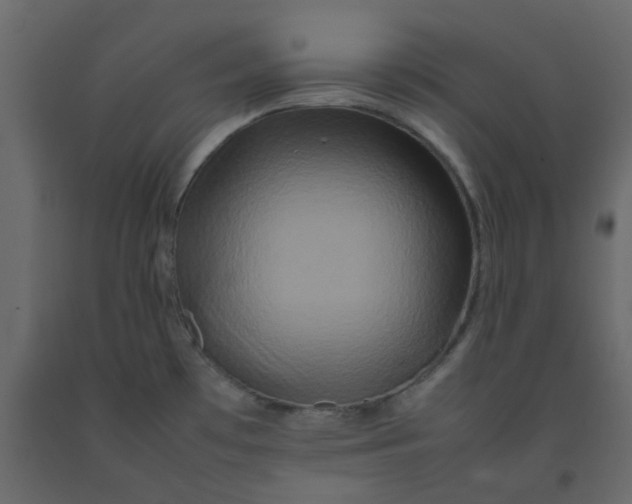 X0000092231481200710051209