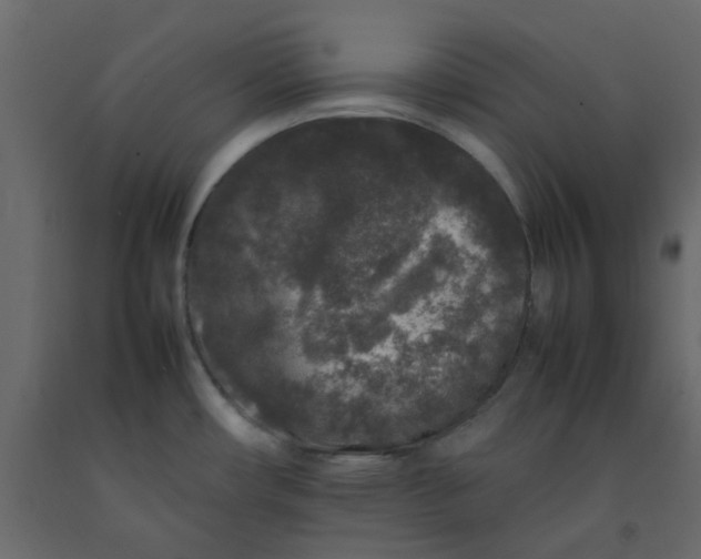 X0000092231482200710051209