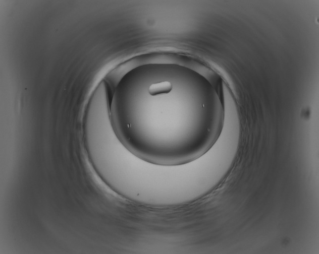 X0000092231483200710051209