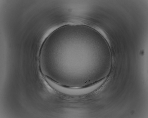 X0000092231485200710051209