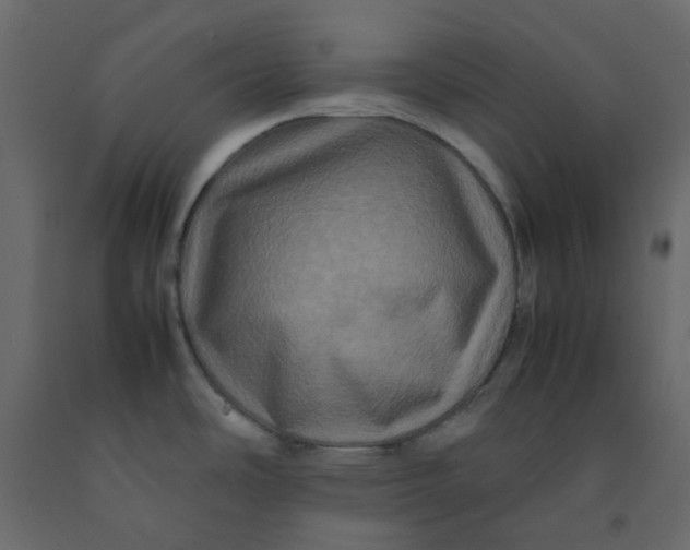 X0000092231486200710051209