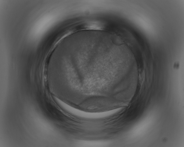 X0000092231487200710051208