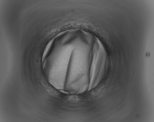 X0000092231489200710051208