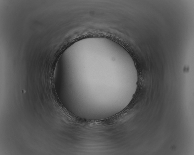 X0000092231490200710051208