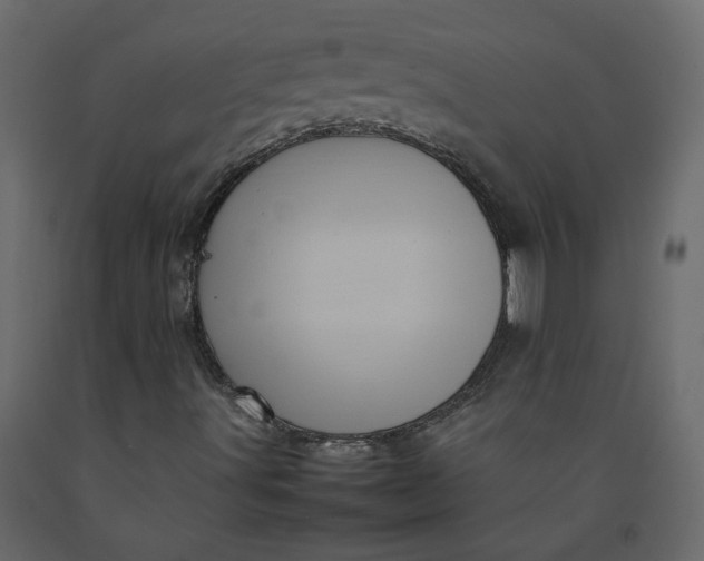 X0000092231491200710051208