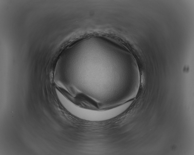 X0000092231492200710051208