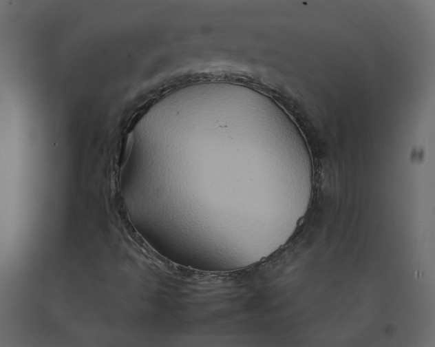 X0000092231493200710051208