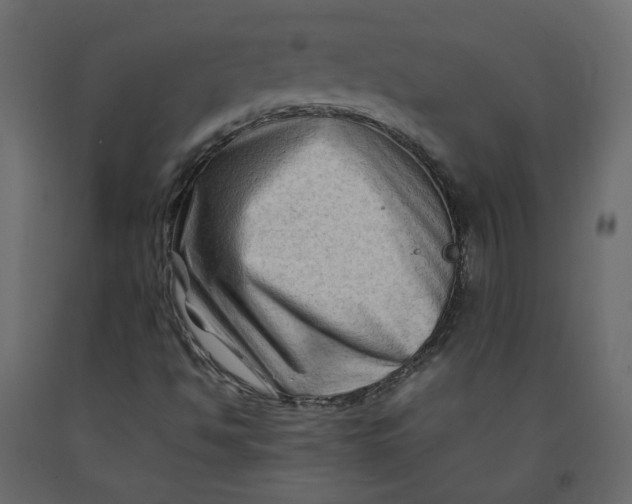 X0000092231494200710051208