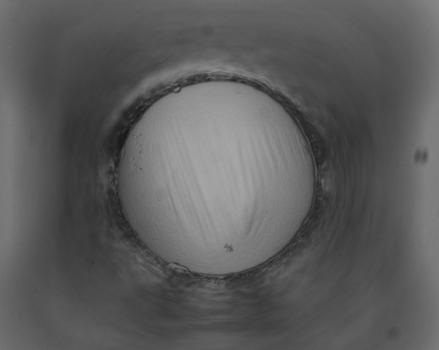 X0000092231495200710051208