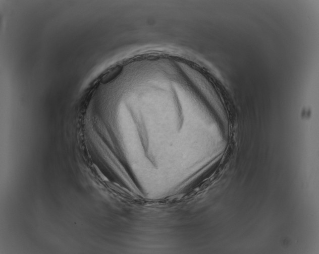 X0000092231496200710051208