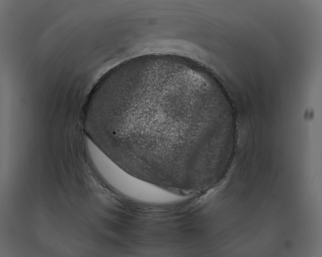 X0000092231497200710051208