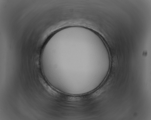 X0000092231499200710051208