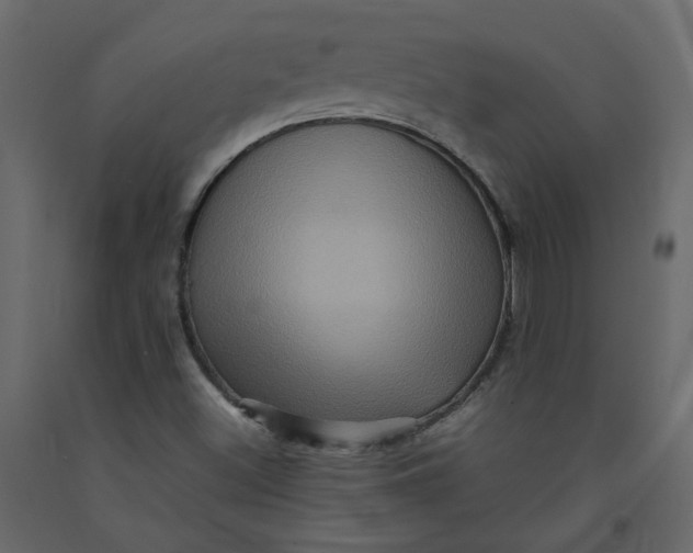 X0000092231500200710051208