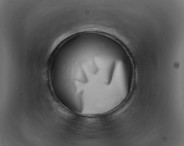 X0000092231501200710051208