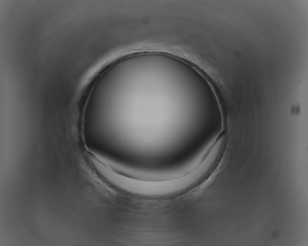 X0000092231502200710051208