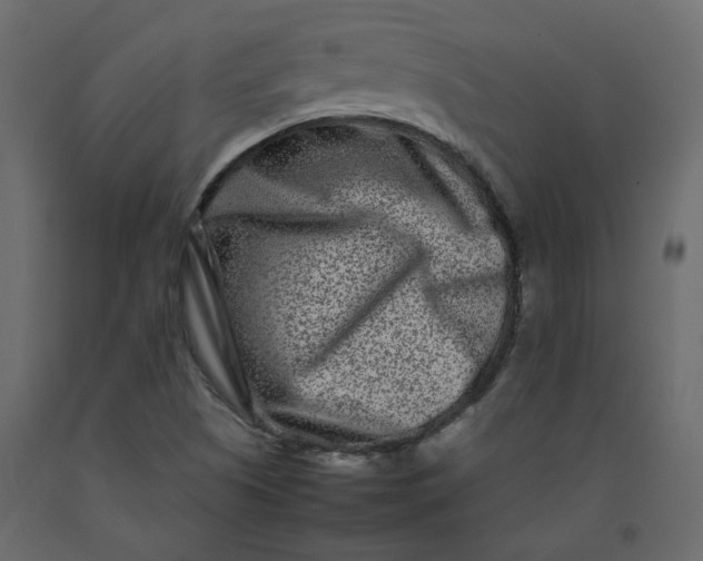 X0000092231505200710051208