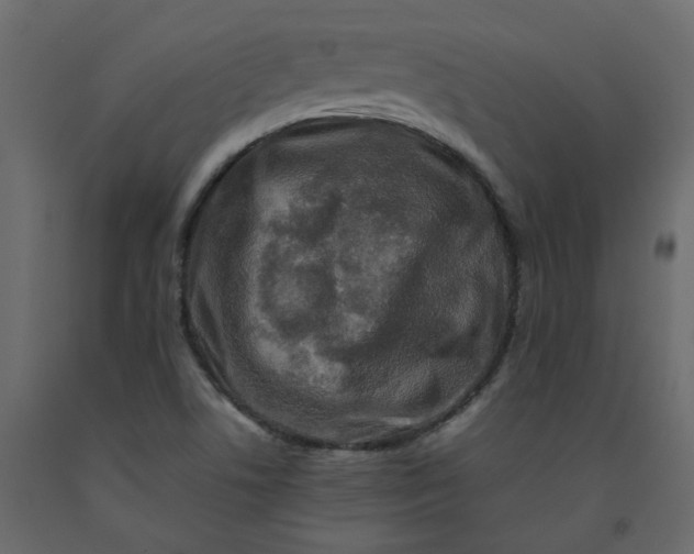 X0000092231506200710051208