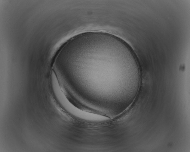 X0000092231507200710051208