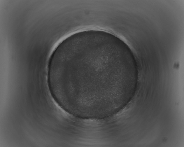 X0000092231508200710051208