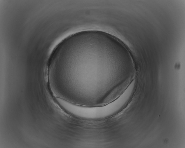 X0000092231510200710051208