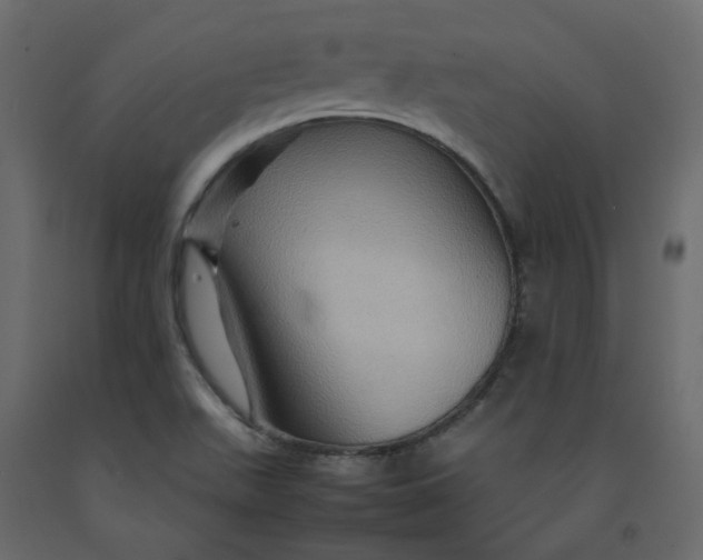 X0000092231511200710051208