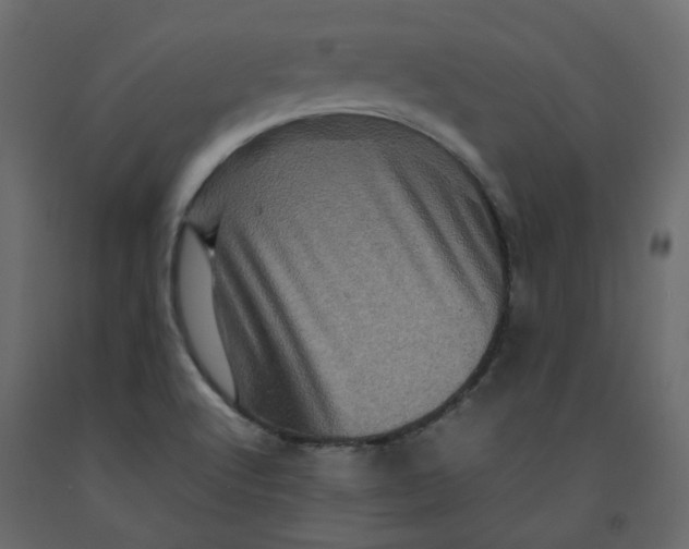 X0000092231512200710051208