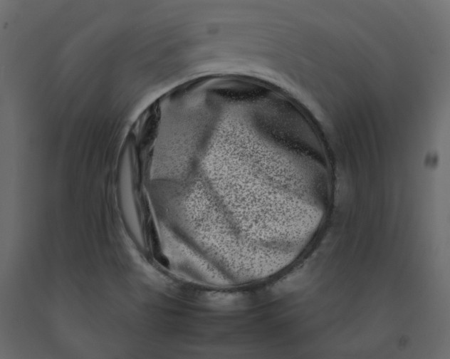 X0000092231513200710051208