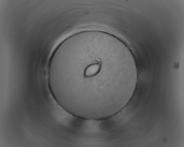 X0000092231514200710051208