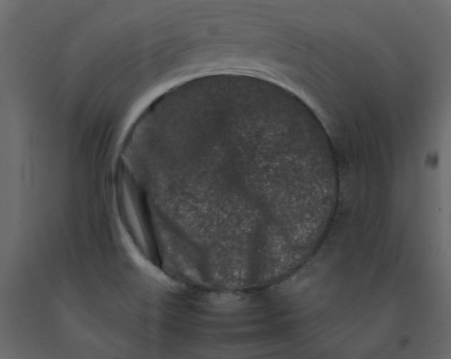 X0000092231515200710051208