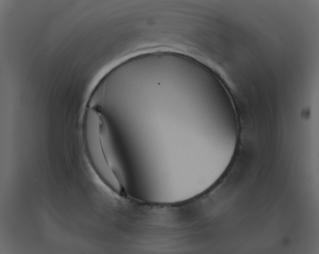 X0000092231516200710051208