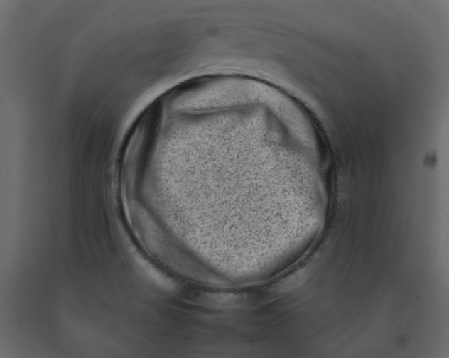 X0000092231517200710051208