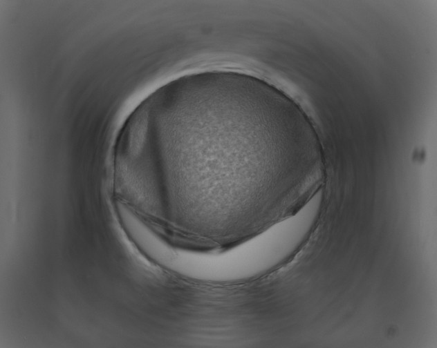 X0000092231520200710051208