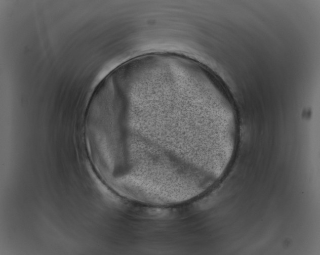 X0000092231521200710051208