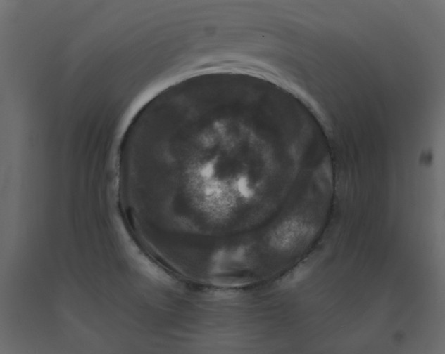 X0000092231522200710051208