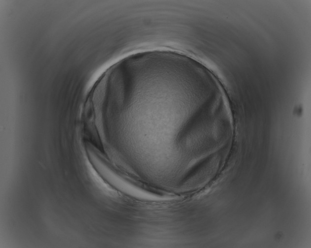 X0000092231524200710051208