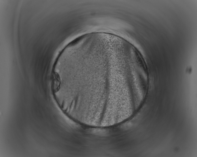 X0000092231525200710051208