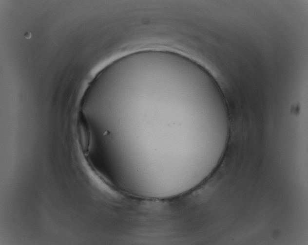 X0000092231526200710051208