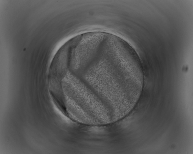 X0000092231527200710051208