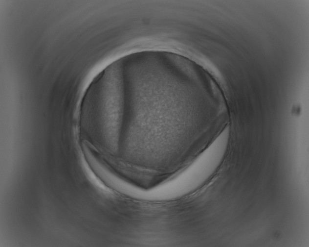 X0000092231528200710051208